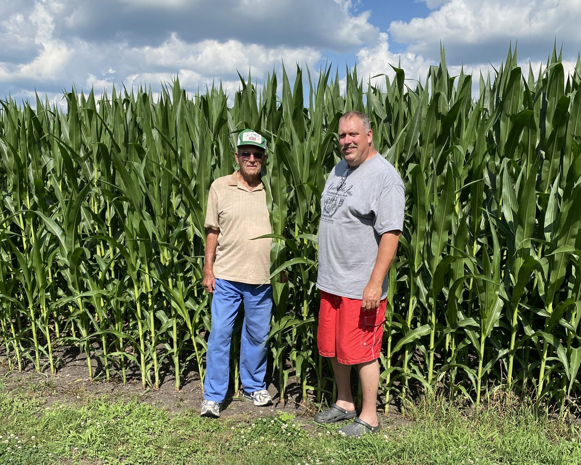 corn field
