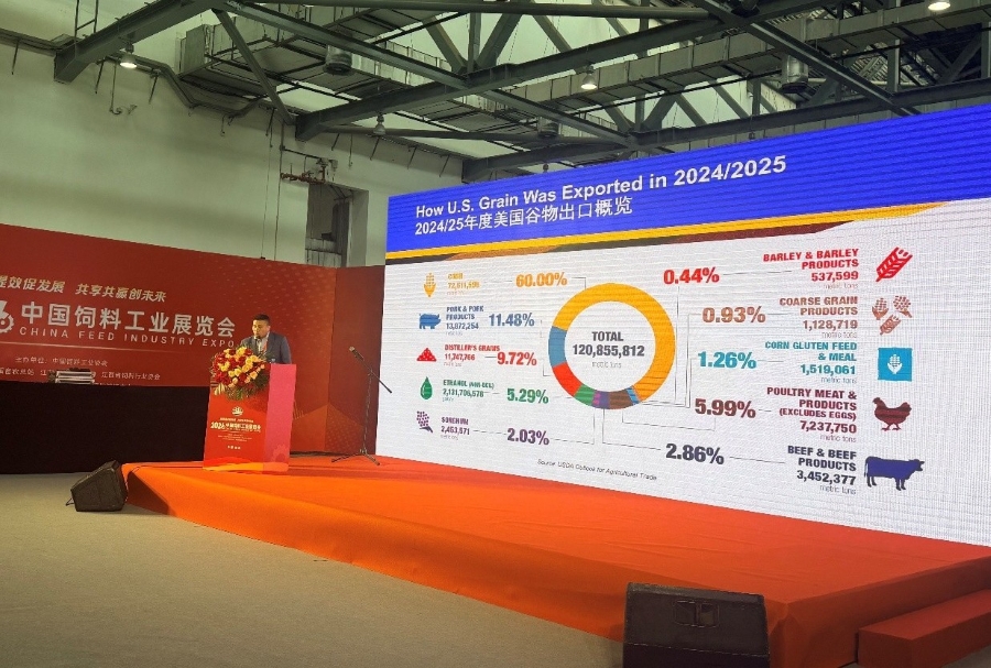 Xiaoming speaking