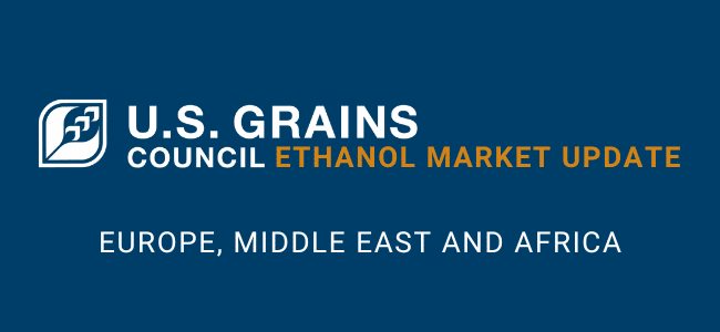 image of graphic on ethanol
