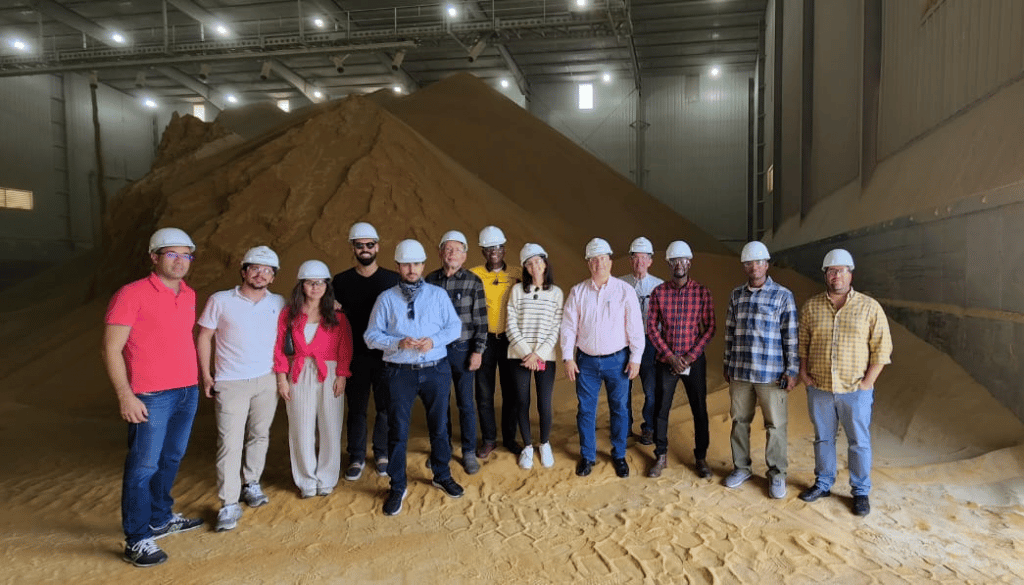 image of people in hard hats