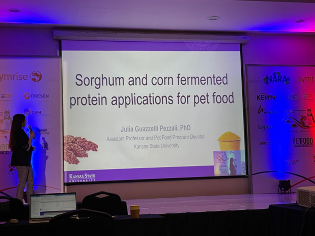 A woman gives a presentation with a Powerpoint