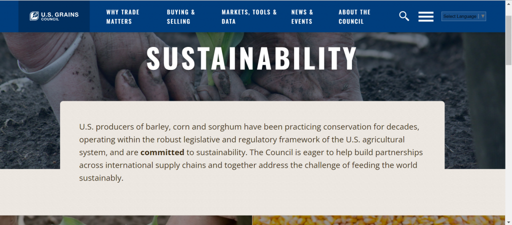 image of website screenshot