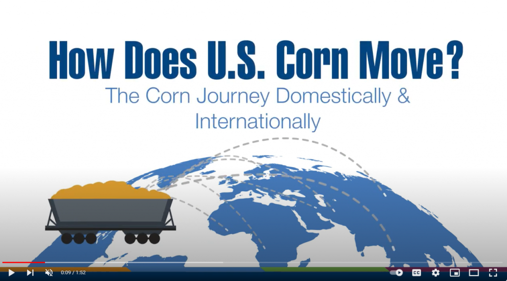 corn journey