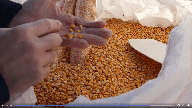 nci video